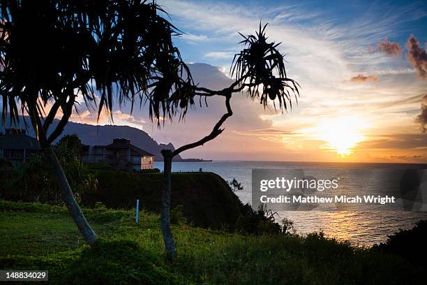 kauai's coastline seen from makai golf course at sunset. - princeville stock pictures, royalty-free photos & images