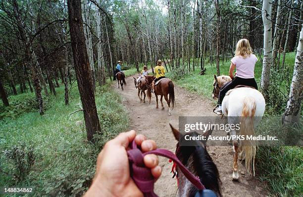 family on horseback ride. - horse riding group stock pictures, royalty-free photos & images