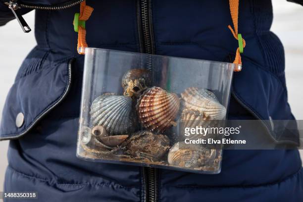 mid-section of a child carrying a container filled with collected seashells from a beach in springtime. - strap stock pictures, royalty-free photos & images