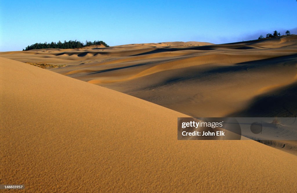 Umpqua Dunes - Oregon