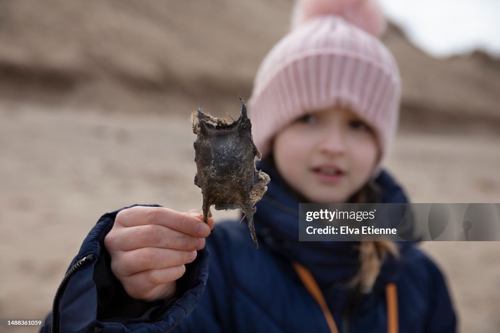 Child holding up an egg case of an oviparous sea animal, found washed up on a beach in springtime.