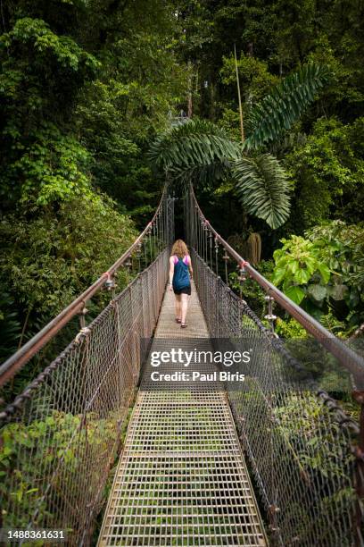 woman walking on suspension bridge in monteverde, costa rica - markise stock-fotos und bilder
