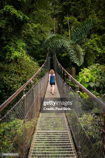 woman walking on suspension bridge in monteverde, costa rica - monteverde stock-fotos und bilder