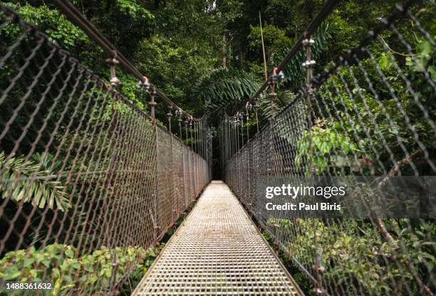 empty footbridge in forest, costa rica - nature reserve - fotografias e filmes do acervo