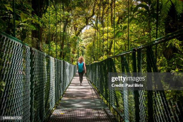 girl walking on hanging bridge in cloudforest - monteverde, costa rica - adventure in central america - side lines stockfoto's en -beelden