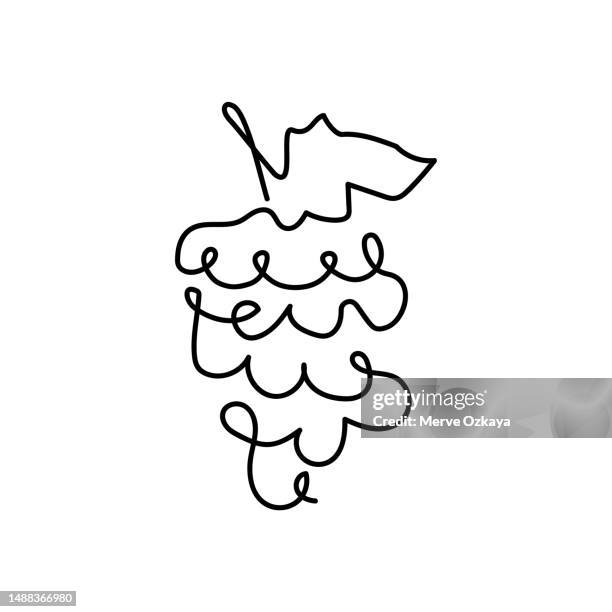 abstract shaped grape. single line grape icon - fall bouquet stock illustrations