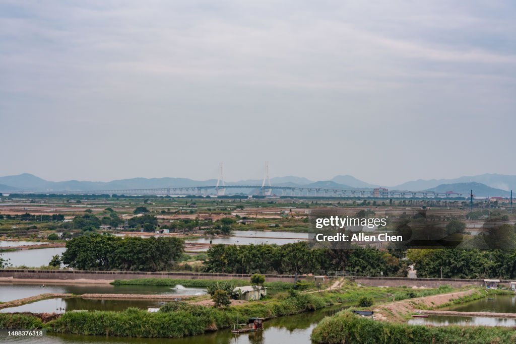 Shantou Wetland Park