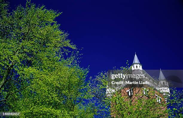 esbjerg vandtarn (watertower) through treetops. - ribe stock pictures, royalty-free photos & images