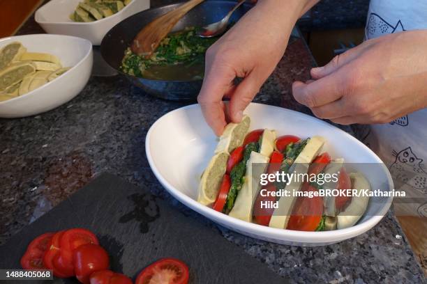 swabian cuisine, preparing maultaschen casserole, layering meat-filled pasta patties with tomato slices and spinach in casserole dish, men's hands, traditional cuisine, food photography, studio, germany - maultaschen stock pictures, royalty-free photos & images