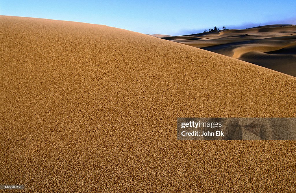Umpqua Dunes landscape.