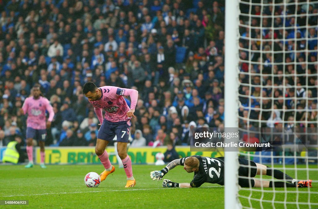 Brighton & Hove Albion v Everton FC - Premier League