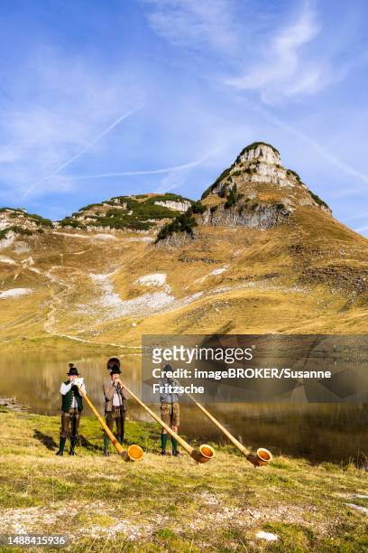 the austrian alphorn trio klangholz plays the alphorn at the augstsee on mount loser, ausseerland, salzkammergut, austria - alphorn stock-fotos und bilder