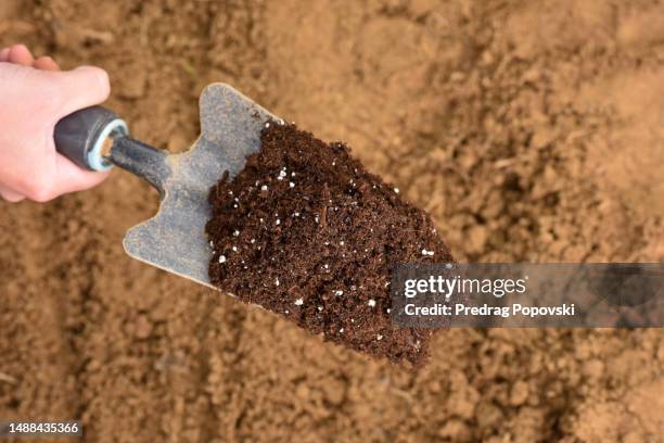 fertilizer on small garden shovel - spaten stock-fotos und bilder