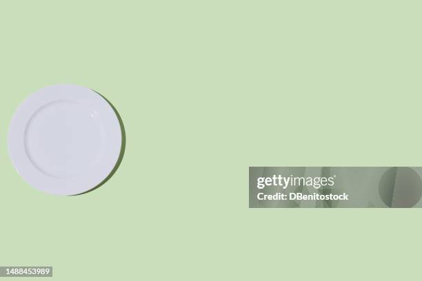 empty white plate, on the lefy side, on light green background. restaurant, food, catering, cooking, service, chef and haute cuisine concept. - tellerlift stock-fotos und bilder