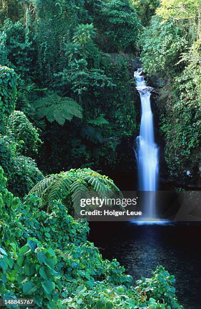 olemoe falls. - samoa stock pictures, royalty-free photos & images