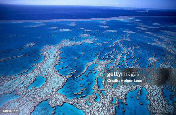 aerial of hardy reef near whitsunday islands. - whitsunday island stockfoto's en -beelden