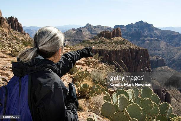 hiker sitting on top of flatiron formation overlooking superstition mountain wilderness. - gebirge superstition mountains stock-fotos und bilder