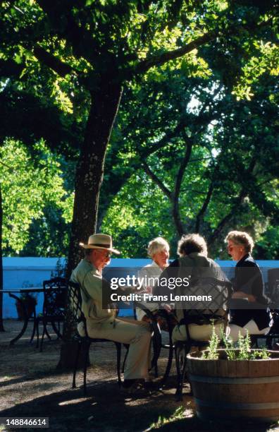 alfresco diners, boschendal winery. - boschendal winery stock pictures, royalty-free photos & images