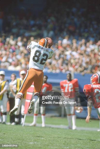 Ozzie Newsome of the Cleveland Browns catches a pass against the Atlanta Falcons during an NFL football game on September 27, 1981 at Cleveland...