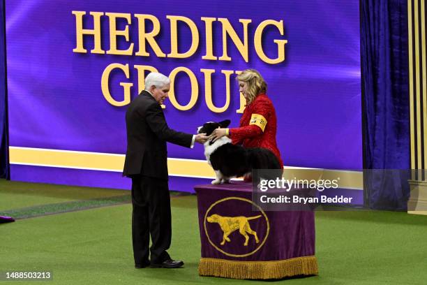 Cardigan Welsh Corgi competes in the 147th Annual Westminster Kennel Club Dog Show Presented by Purina Pro Plan at Arthur Ashe Stadium on May 08,...