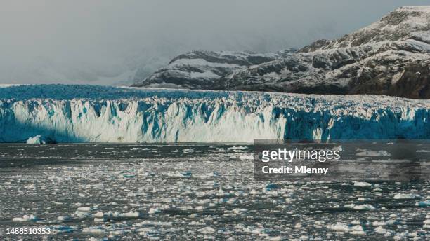coastal glacier ice shelf south georgia island drygalski fjord - mlenny stock pictures, royalty-free photos & images