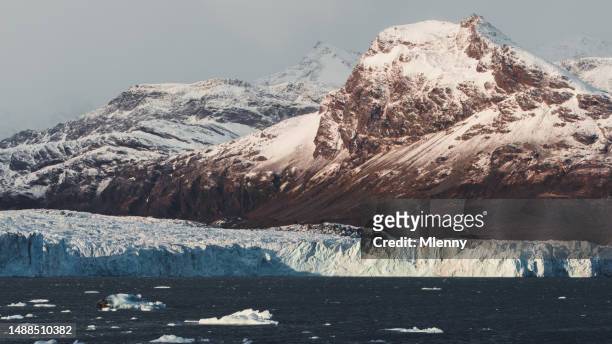 drygalski fjord coastal glacier south georgia island - mlenny stock pictures, royalty-free photos & images