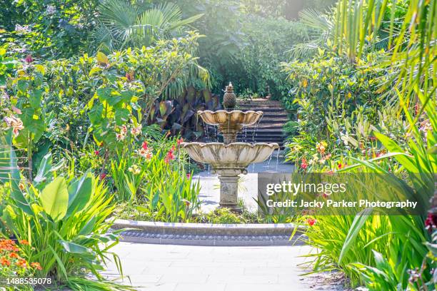 a beautiful ornate two-tiered water feature - fountain with tropical planting in an english summer garden - water garden fotografías e imágenes de stock