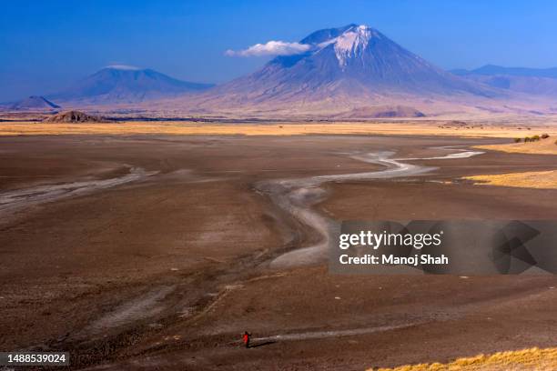 masai in front of ol doniyo lengai, tanzania. - ol doinyo lengai stock pictures, royalty-free photos & images