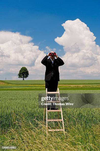 man on step ladder looking through binoculars. - spy glass businessman stock pictures, royalty-free photos & images