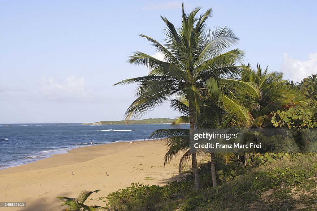 Tres Palmitas Beach.