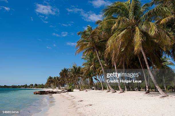 coconut trees and shipwreck on beach of bahia de cochinos (bay of pigs), peninsula de zapata. - cuba beach stock pictures, royalty-free photos & images