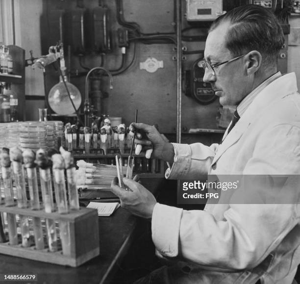 Scientist transfers fungus cultures from one test tube to another at the Experimental and Research Station in Cheshunt, Hertfordshire, circa 1950.