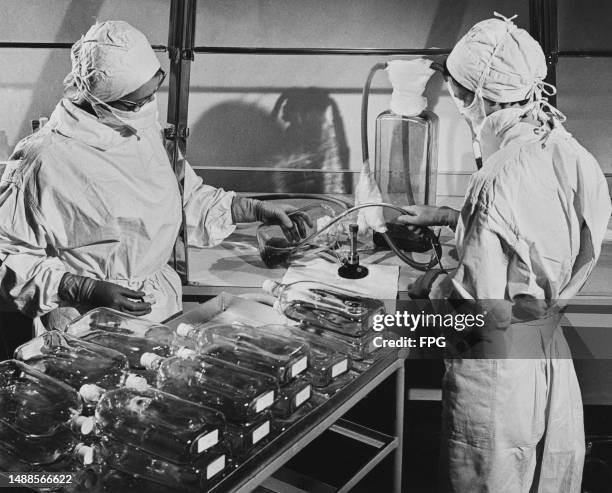 1950s Stril Lab Adult Laboratory Experiment Female Photos and Premium High Res Pictures ...