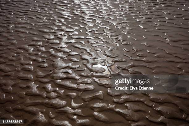 rippled patterns of wet sand along the coast of the irish sea at low tide in springtime. - natural pattern stock pictures, royalty-free photos & images