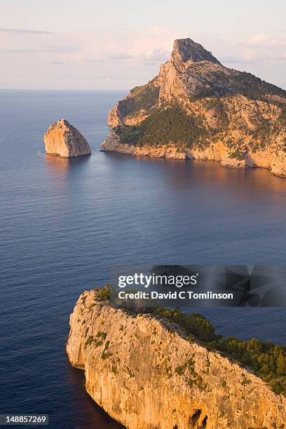 Colomer Colomer Photos and Premium High Res Pictures - Getty Images