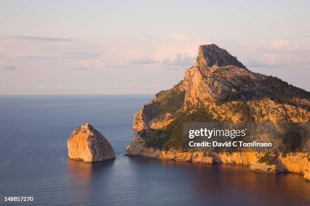 Colomer Colomer Photos and Premium High Res Pictures - Getty Images
