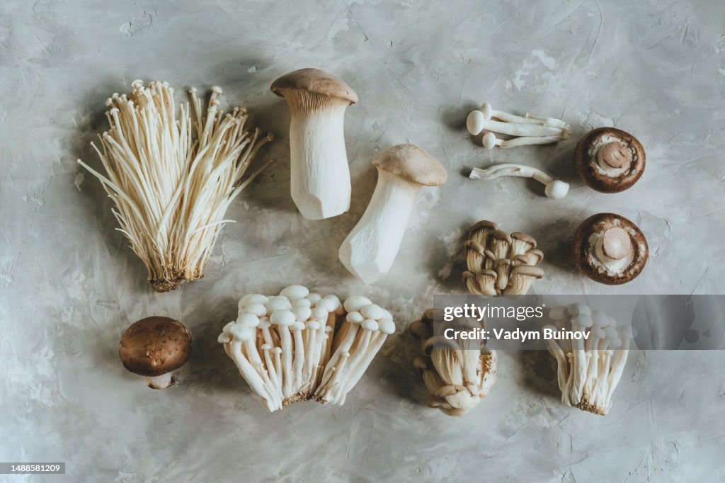 Various fresh edible mushrooms on gray background