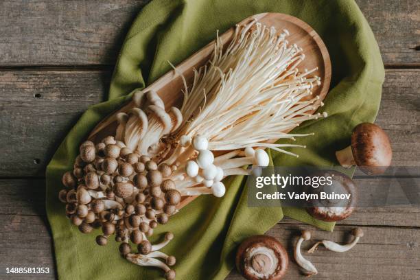 various fresh edible mushrooms on wooden background - enoki mushroom stock-fotos und bilder