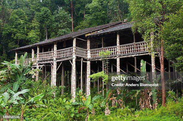 decorated orang ulu tribal longhouse in jungle setting at sarawak cultural village near kuching. - longhouse stock-fotos und bilder