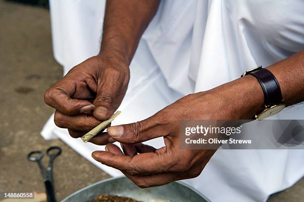 making cigaretees at beedi factory (sri lankan cigarette). - beedi stock pictures, royalty-free photos & images