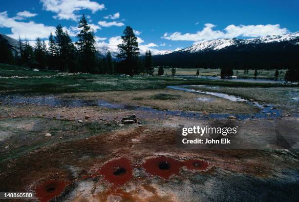 soda springs on the tuolumne meadows, the largest sub-alpine meadow in the sierra - yosemite national park, california - soda springs stock pictures, royalty-free photos & images