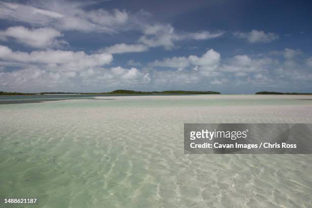 a wide angle view of shallow clear water flats and blue skies in keys - islamorada stock-fotos und bilder