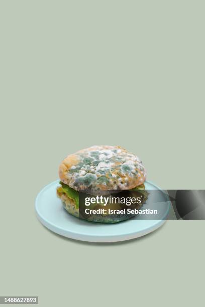 rotten hamburger with green mold on a plate on green background, space for text on top. - moldy bread stock pictures, royalty-free photos & images