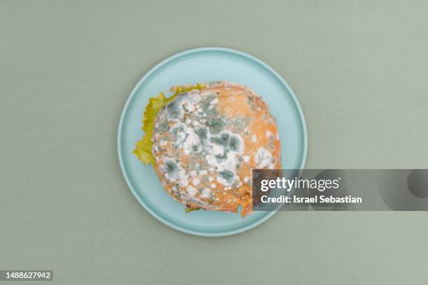 top view of a rotten hamburger with green mold on a plate on green background. - moldy bread stock pictures, royalty-free photos & images