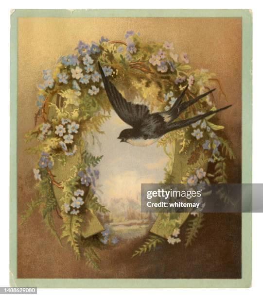 ilustrações de stock, clip art, desenhos animados e ícones de victorian greetings card with forget-me-nots, horseshoe and swallow, 1883 - postal-de-parabéns