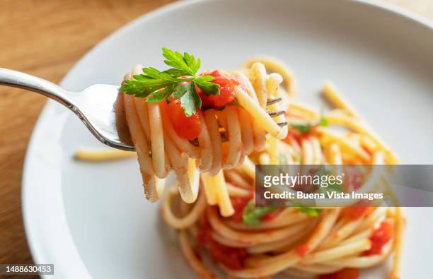 spaghetti with tomato sauce and basil leaves - dieta mediterranea foto e immagini stock