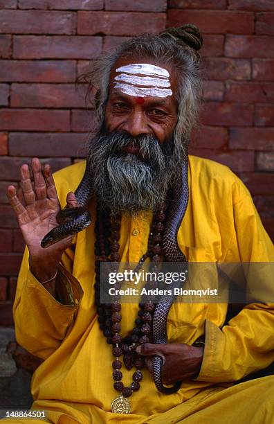 yellow clad sadhu with snake around his shoulders. - snakes beard stock pictures, royalty-free photos & images