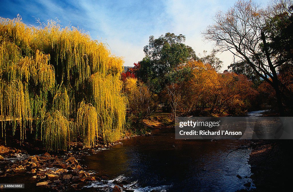 River running through Centenary Park - Bright, Victoria