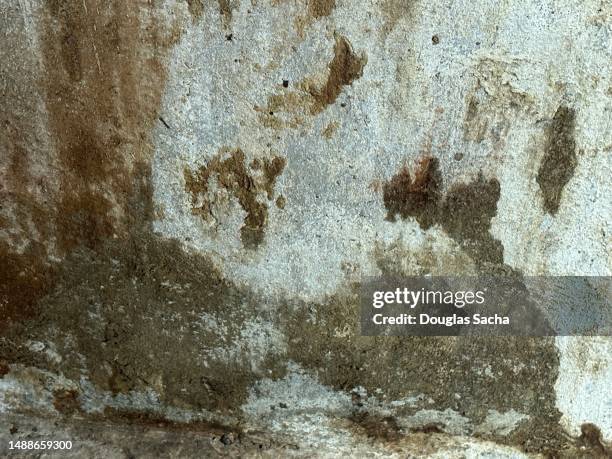 water damage from floods basement - flood preparation stock pictures, royalty-free photos & images