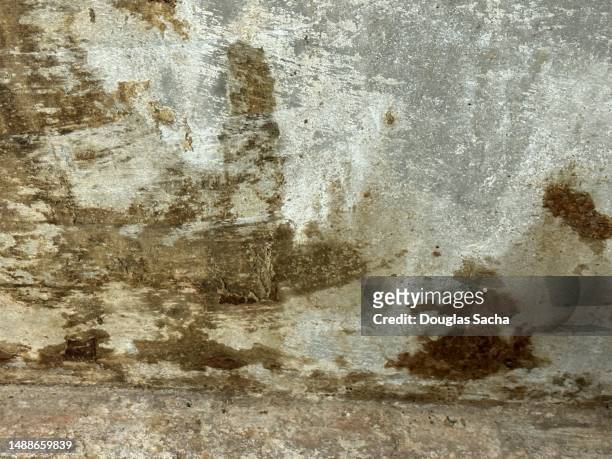 flood damage from high water in basement - flood preparation stock pictures, royalty-free photos & images
